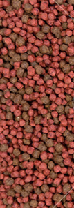 Pełnoporcjowa sucha karma dla psów DINO z wołowiną - 20kg (1)